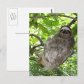 Entspannte Schlucht in der Natur Postkarte (Vorne/Hinten)