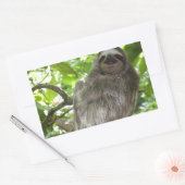 Entspannte Schlucht in der Natur Rechteckiger Aufkleber (Umschlag)