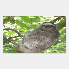 Entspannte Schlucht in der Natur Rechteckiger Aufkleber