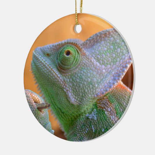 Entspannte Veiled Chameleon Keramikornament (Links)