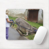 Entspannter Donkey Mousepad (Mit Mouse)