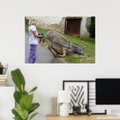 Entspannter Donkey Poster (Heimbüro)