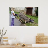 Entspannter Donkey Poster (Küche)