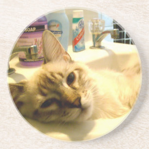 entspannter Kitty Untersetzer