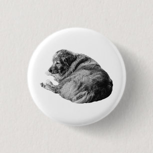 Entspannter lebensnaher Hund teilt einfache Holida Button