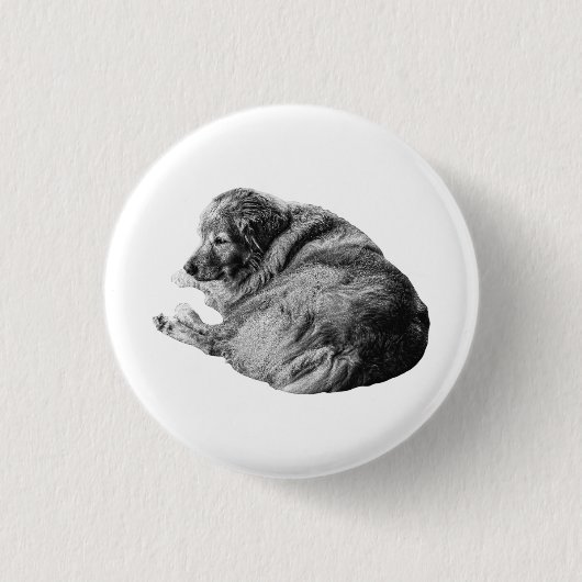 Entspannter lebensnaher Hund teilt einfache Holida Button (Vorderseite)