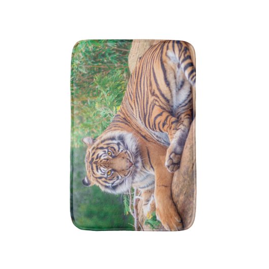 Entspannter stützender Tiger Badematte (Vorderseite Vertikal)