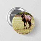 Entspanntes Brown Horse Walking Button (Vorne & Hinten)