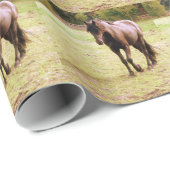 Entspanntes Brown Horse Walking Geschenkpapier (Rolleneckpunkt)