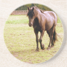 Entspanntes Brown Horse Walking Sandstein Untersetzer