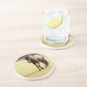 Entspanntes Brown Horse Walking Sandstein Untersetzer (Seite)