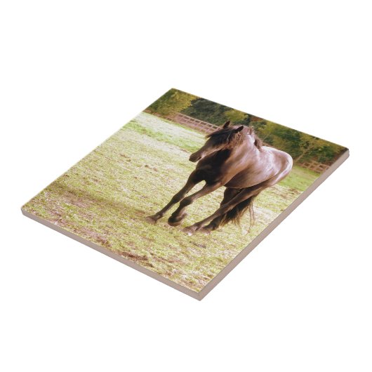 Entspanntes Brown-Pferdegehen Fliese (Seite)