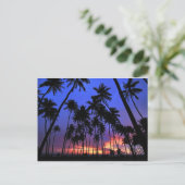 Entspanntes Design Florida fühlen Postkarte (Stehend Vorderseite)