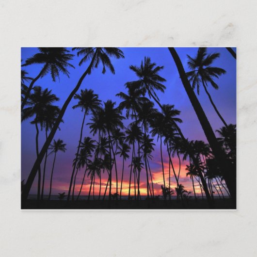 Entspanntes Design Florida fühlen Postkarte (Vorderseite)