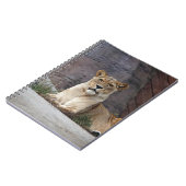ENTSPANNUNG DER LIONENZ NOTIZBLOCK (Linke Seite)