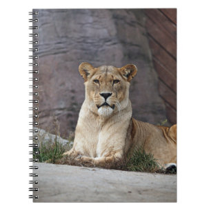 ENTSPANNUNG DER LIONENZ NOTIZBLOCK