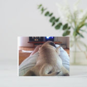 Entspannung Postkarte (Stehend Vorderseite)