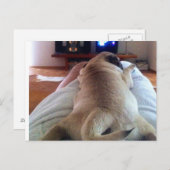 Entspannung Postkarte (Vorne/Hinten)