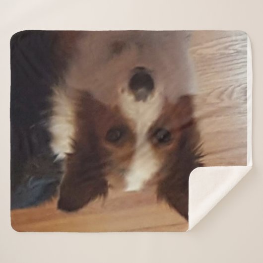 Entspannungstag Sherpadecke (Vorderseite (Horizontal))