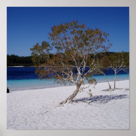 Entspannungszeit Poster (Vorne)