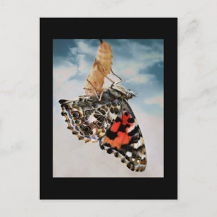 Entstehung Postkarte