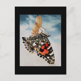 Entstehung Postkarte