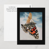 Entstehung Postkarte (Vorne/Hinten)