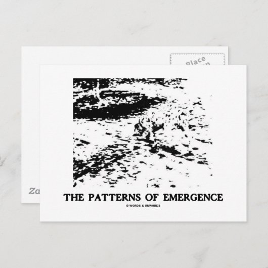 Entstehungsmuster (optische Illusion des Dalmatine Postkarte (Vorne/Hinten)