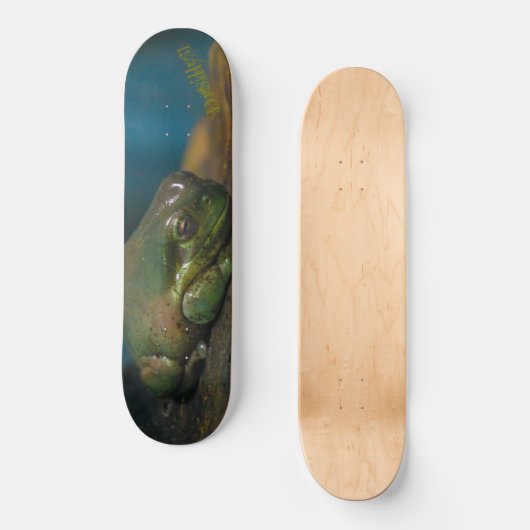 Entsteinte Kröte Skateboard (Vorderseite)