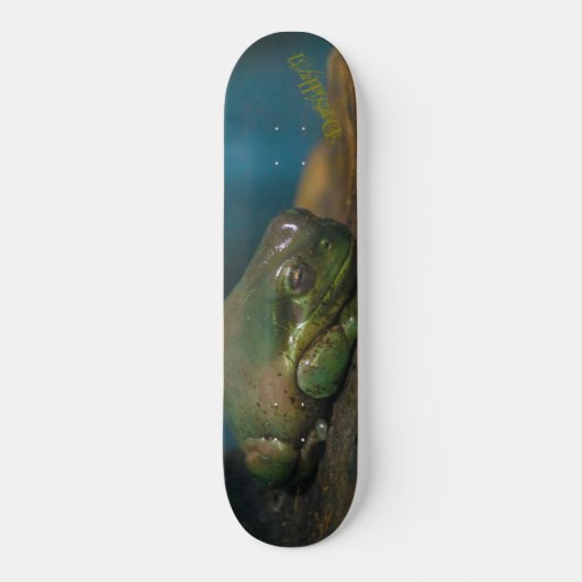 Entsteinte Kröte Skateboard (Vorderseite)