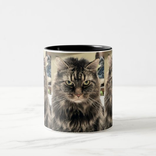 enttäuschte Katze Zweifarbige Tasse (Mittel)
