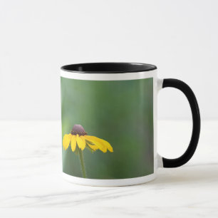 Entwarnung Tasse