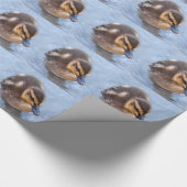 Entwässerungspapier Geschenkpapier (Ecke)