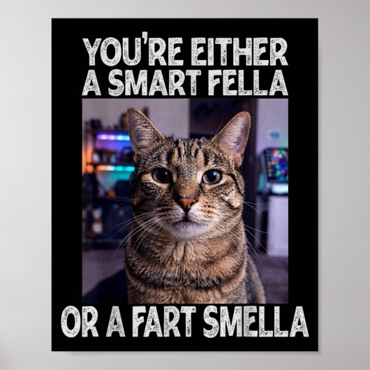 Entweder ein schlauer Kerl oder ein alberner Kerl  Poster (Vorne)