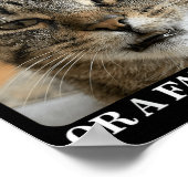 Entweder ein schlauer Kerl oder ein Furz-Riecher L Poster (Ecke)