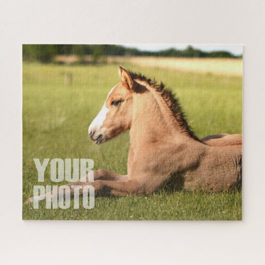 Entwerfen Sie Ihr eigenes 20x16"/520 Stück Foto fü Puzzle (Horizontal)