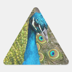 Entwerfen Sie Ihr eigenes Foto Stickers Triangle