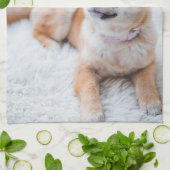 Entwerfen Sie Ihr eigenes Hundepuppy-Foto Geschirrtuch (Gefaltet)