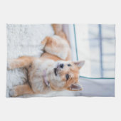 Entwerfen Sie Ihr eigenes Hundepuppy-Foto Geschirrtuch (Horizontal)