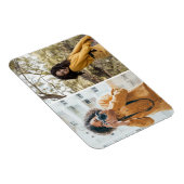 Entwerfen Sie Ihre eigene 2-FotoCollage Magnet (Rechte Seite)