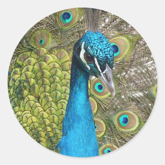 Entwerfen Sie Ihre eigenen benutzerdefinierten Fot Runder Aufkleber (Vorderseite)