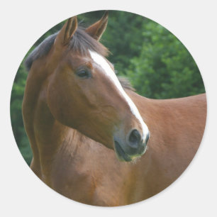 Entwerfen Sie Ihre eigenen benutzerdefinierten Fot Runder Aufkleber