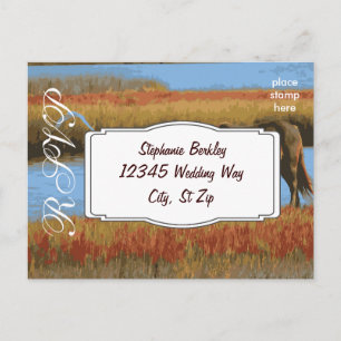 Entwerfen Sie Ihre eigenen Hochzeitstipps-Postkart Einladungspostkarte