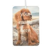 ENTWICKELN SIE IHRE EIGENE AUTOLUFTERFRISCHER (Vorderseite)