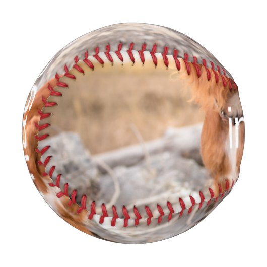 ENTWICKELN SIE IHRE EIGENE BASEBALL (Vorderseite Links)