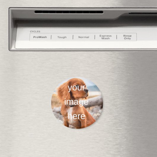 ENTWICKELN SIE IHRE EIGENE MAGNET (In Situ (Geschirrspüler))