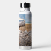 ENTWICKELN SIE IHRE EIGENE TRINKFLASCHE (rechts)