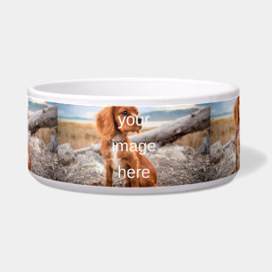 ENTWICKELN SIE IHREN EIGENEN PET-BOWL NAPF