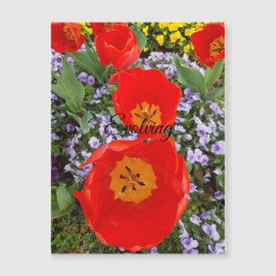 Entwicklung der Magnetkarte für rote Tulips