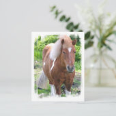 Entwurf der Pferdepiste Postkarte (Stehend Vorderseite)